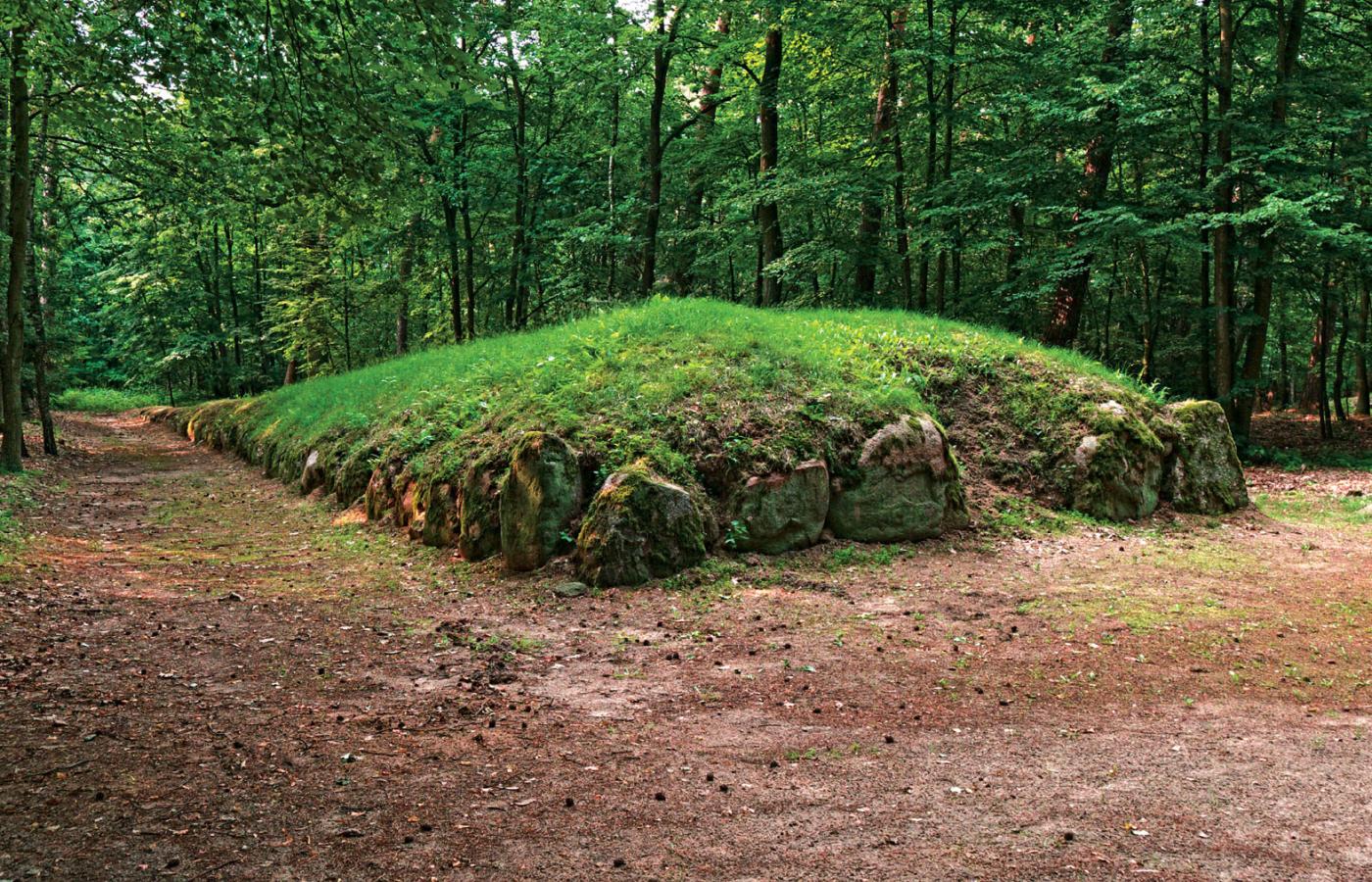 Jeden z lepiej zachowanych (widoczne resztki obstawy kamiennej) i częściowo zrekonstruowanych grobowców megalitycznych w Wietrzychowicach koło Izbicy Kujawskiej. W pobliżu wsi Góry jest kilkanaście podobnych gigantów, które dziś całkowicie przykrywa las.