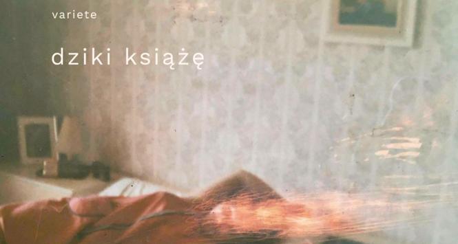 Płyta Dziki książę