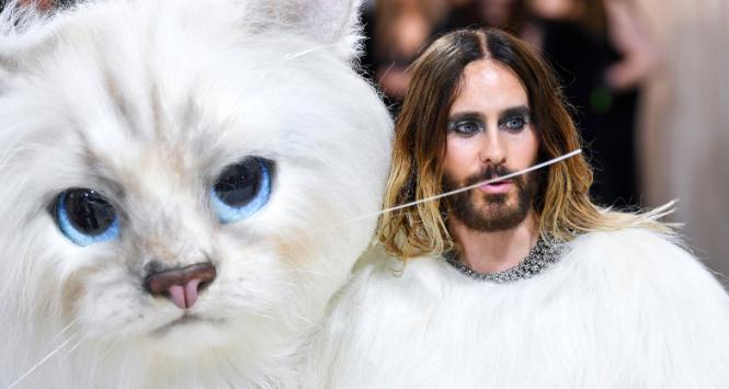 Jared Leto w stroju kota