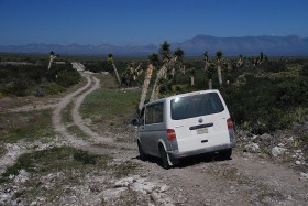 Bus kaktusiarzy wciąż w drodze. W poszukiwaniu trofeów przemierzają pustkowia stanu San Luis Potosi.