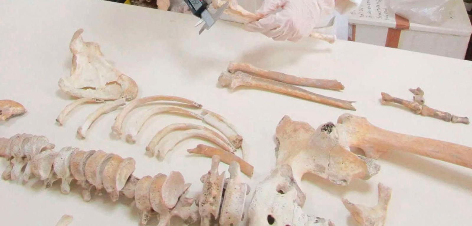 Jeden ze szkieletów znalezionych w latach 30. XX w. w Casa del Fabbro w Pompejach, z którego naukowcy pobrali ostatnio próbki DNA do analiz.