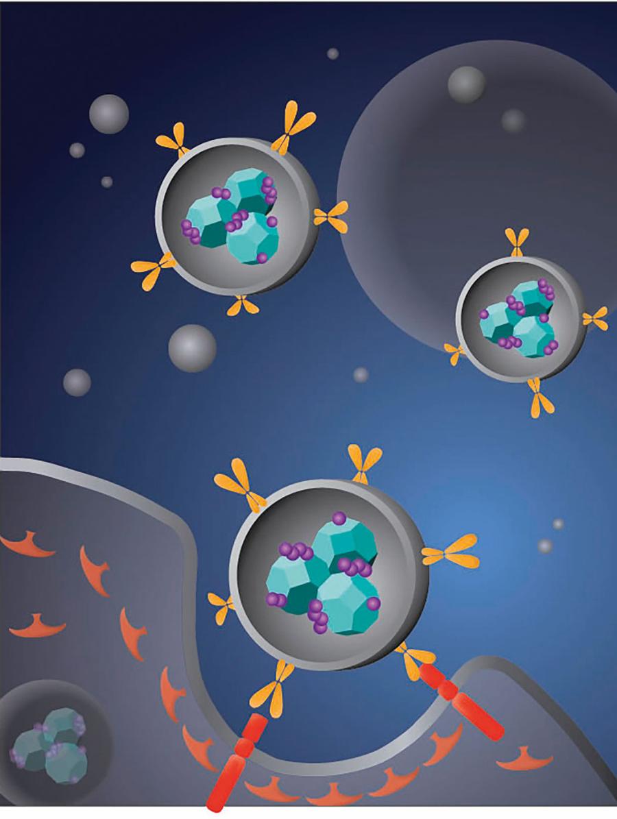 Dostarczanie leku za pomocą nanodiamentów. Lek (fioletowy) osadza się na nanodiamentach (niebieski), a całość zostaje zamknięta w liposomach. Dzięki grupom funkcyjnym (żółty) lek trafia wyłącznie do wnętrza komórek rakowych, niszcząc je.