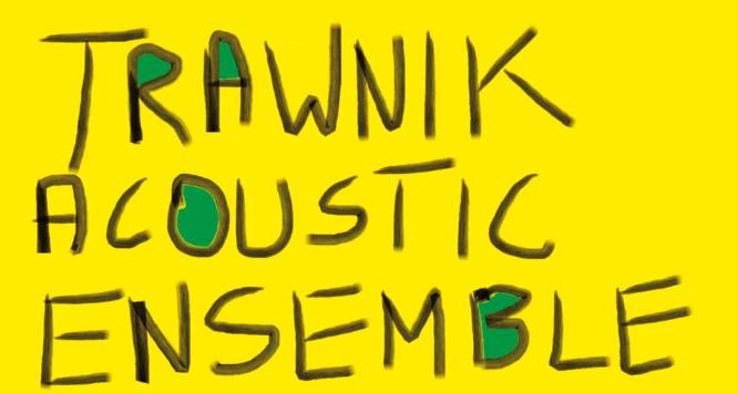 Płyta Trawnik Acoustic Ensemble