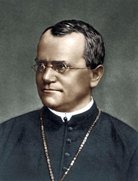 Grzegorz Mendel badał zasady dziedziczenia cech.