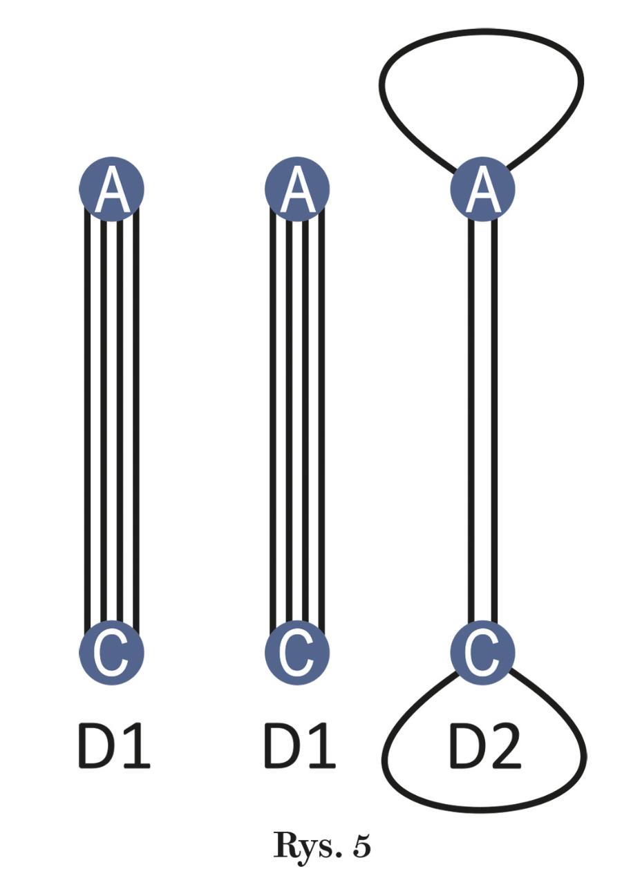 Rys. 5