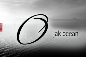 O jak ocean, po oceanie żeglowanieŻaden jacht wpływający w cieśninę Eggemoggin nie umknie uwagi Dennetta. Filozof obserwuje łodzie przez lornetkę, z okien salonu. Sam też pasjami pływa, między innymi dlatego, że ocean jest jednym z nielicznych miejsc, gdzie może użyć swojej wiedzy w sposób praktyczny – narażając na szwank coś bardziej konkretnego niż bezcielesną reputację. Mówił POLITYCE: „Na wodzie nie pakuję się w żadne wielkie niebezpieczeństwo, ale delektuję się chwilami, gdy warunki stają się naprawdę poważne i kiedy muszę z największą uwagą przewidywać przebieg wydarzeń, bo sytuacja może bardzo szybko się pogorszyć! Filozofowie, rozumie pan, nie muszą się martwić, że zawali im się most albo pacjent umrze na stole operacyjnym. Jesteśmy raczej nieszkodliwymi użytkownikami umysłów, ale żeglując, mógłbym narozrabiać – gdybym nie wiedział, co czynię”.