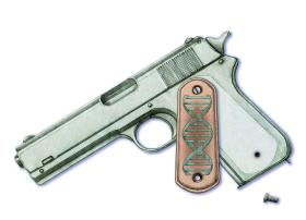 Świadkowie zeznali potem, że strzelało dwóch z trzech facetów stojących przy ogrodzeniu. Broń trzymali w gołych dłoniach, bez rękawiczek.