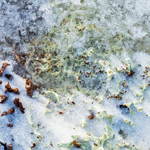 Pulsar - najnowsze informacje naukowe.