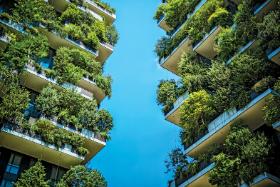 Ochłodzić je można drzewami albo tzw. zielonymi ścianami pokrytymi roślinnością.