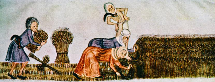 Od świtu do nocy ludy osiadłe siały, żęły, pilnowały stad. I chociaż miały nadwyżki jedzenia, nie odżywiały się lepiej (ilustracja z Psałterza Luttrella, poł. XIV w.).