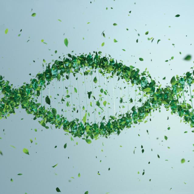 My, genetycznie podejrzani, czyli jak łatwo można zdobyć nasze DNA