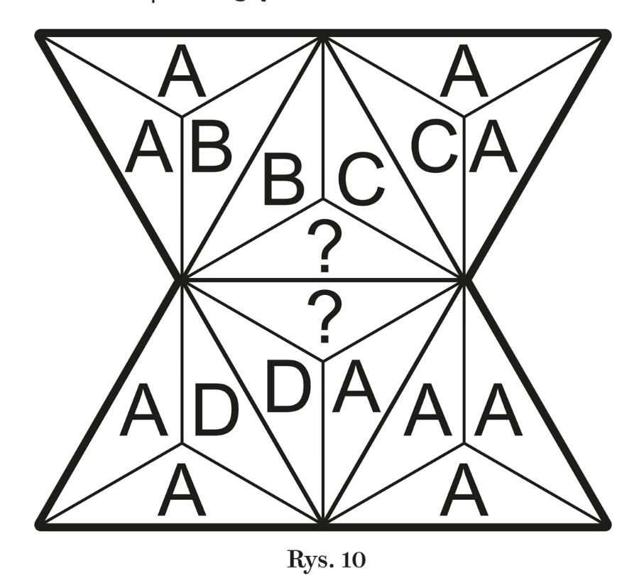Rys. 10