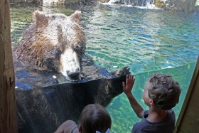 Każde dziecko chce mieć misia. Jednak najlepszym wyborem będzie pluszowa zabawka.