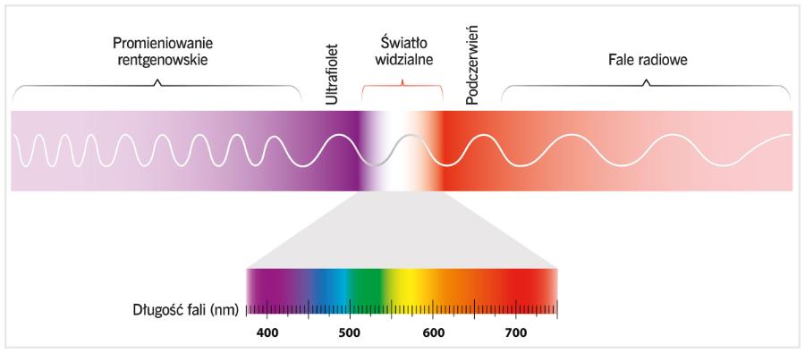 Widmo fal elektromagnetycznych.