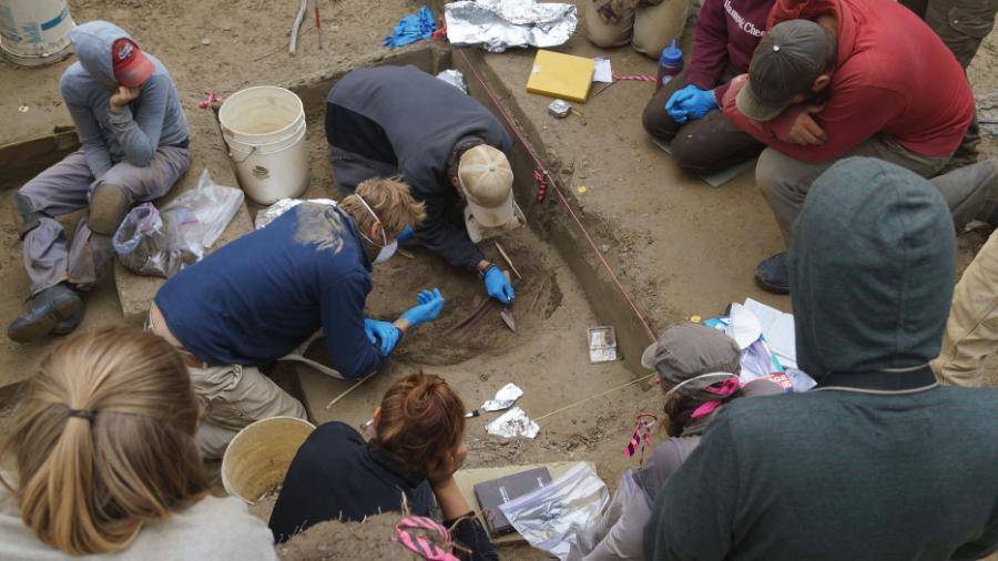 Archeolodzy podczas wykopalisk na stanowisku Upward Sun River na Alasce.