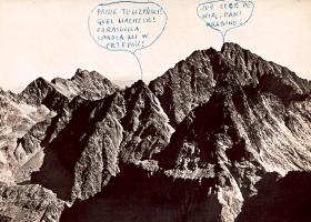 24 września 1969, Szymborska do Filipowicza:Zawiadamiam Cię, że bardzo bym chciała mieć futerko z ryjówek malutkich albo zębiełków karliczków. Miałam Ci wysłać pocztówkę z tymi zwierzątkami (żebyś wiedział, na co z Gargulińskim polować), ale mi się właśnie na nią wylała herbata (wedle Twojej wymowy, bo dla mnie wylała się niestety cherbata.) Ryjówka i zębiełek są to zwierzątka koloru bronzowego, oba mają długie ryjki, więc pewnie będziesz ich musiał szukać w ziemi. Gdyby Ci się zrobiło żal, to przywieź mi żywe, a futro mogę mieć z gronostaja (patrz obrazek), choć co prawda tyle już hołoty (chołoty) nosiło gronostaje, że nie wiem?