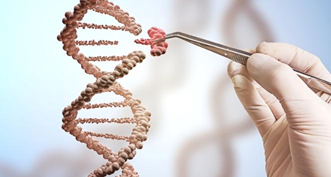 Czy przy pomocy CRISPR, narzędzia do edycji genów, uda się całkowicie usunąć wirusa z organizmu zainfekowanych?