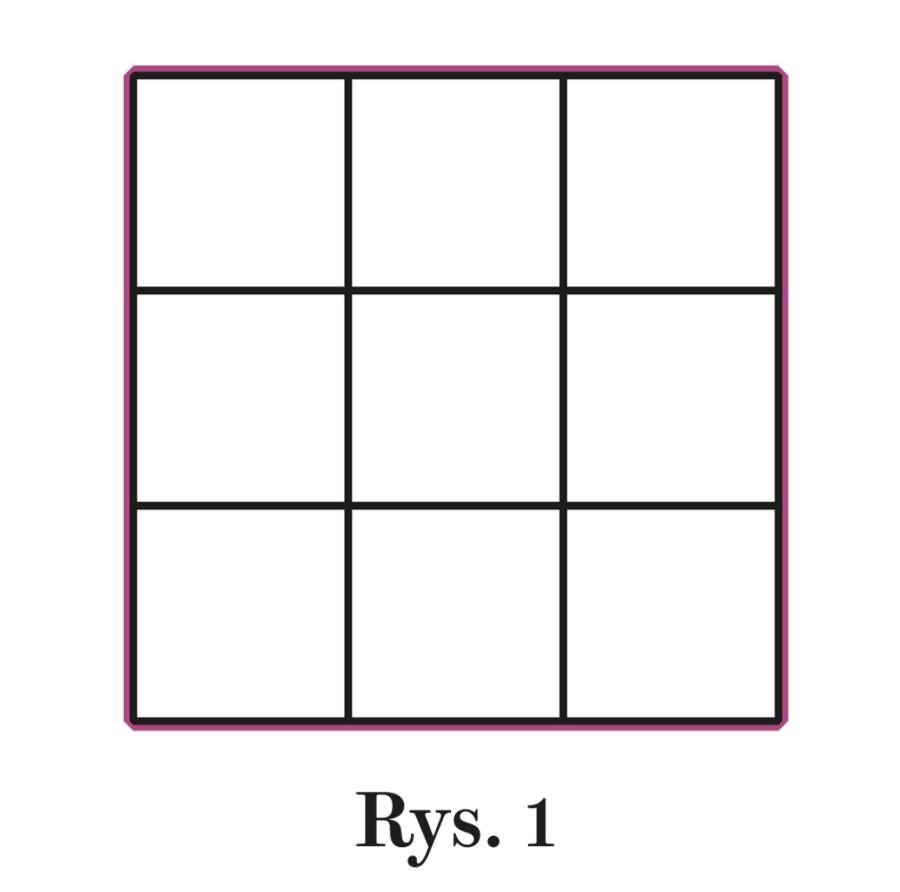 Rys. 1