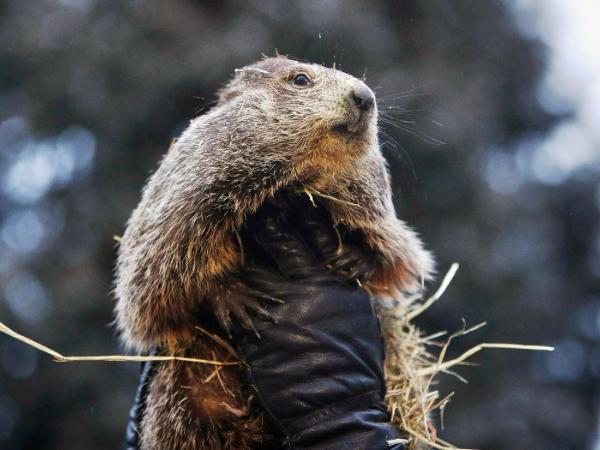 Kadr z filmu „Dzień świstaka”