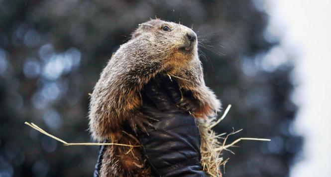 Kadr z filmu „Dzień świstaka”