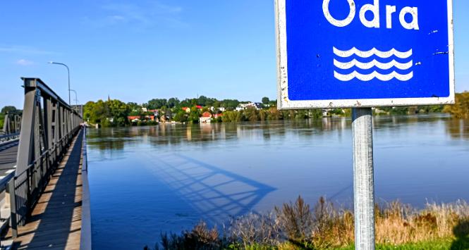 Poziom Odry w Cigacicach, 23 września 2024 r.