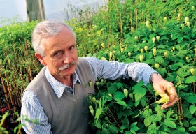 Szczepan Marczyński, właściciel firmy Clemantis. Z naukowca stał się europejskim potentatem w branży ozdobnych powojników