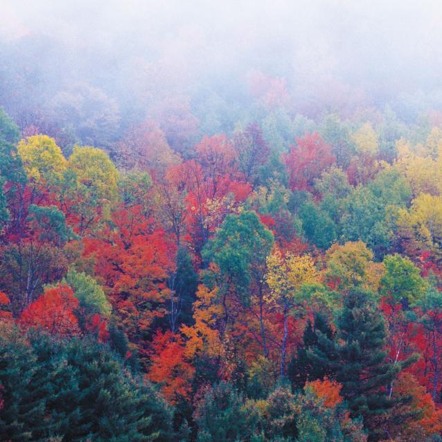 Pulsar - wyjątkowy portal naukowy.