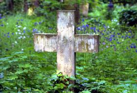 Tutejsza ziemia jest bogata w kości, a uboga w pamięć.