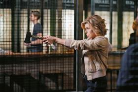 Christine Baranski jako Diane Lockhart w serialu „Sprawa idealna”