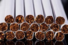 Z paleniem papierosów państwo walczy nieskutecznie i obłudnie, wspierając jednocześnie sporymi dopłatami plantatorów tytoniu.