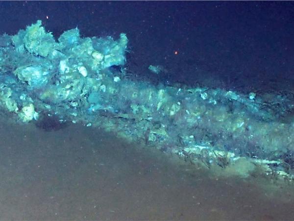 Gigantyczna nekropolia w rowie Diamantiny pod Oceanem Indyjskim – na głębokości od 4,2 do 7 km i długości ok. 1,2 tys. km – funkcjonuje nieprzerwanie od co najmniej 5,3 mln lat.