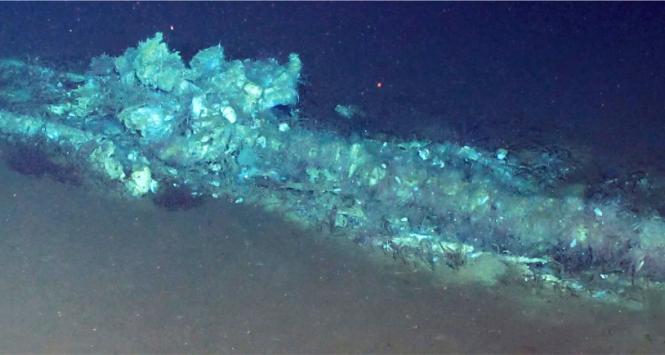 Gigantyczna nekropolia w rowie Diamantiny pod Oceanem Indyjskim – na głębokości od 4,2 do 7 km i długości ok. 1,2 tys. km – funkcjonuje nieprzerwanie od co najmniej 5,3 mln lat.