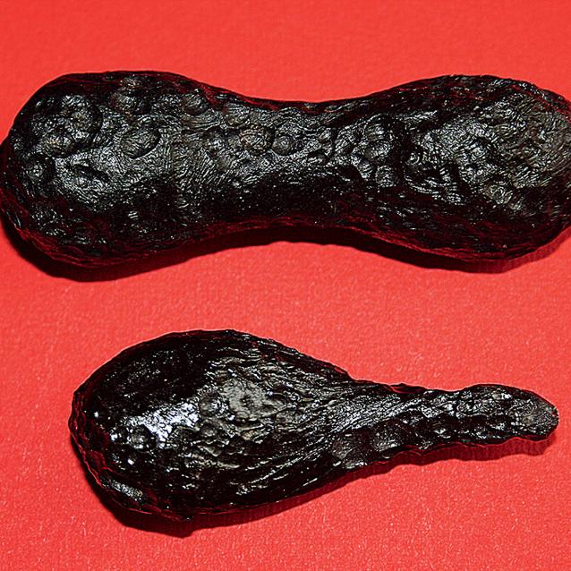 Tajemnicze tektyty, czyli okruchy ciemnej szklistej materii znajdowane pojedynczo na całym świecie. Istnieje wiele hipotez dotyczących ich genezy.