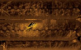 Widoczny na ekranie sonaru wrak na dnie Bałtyku.