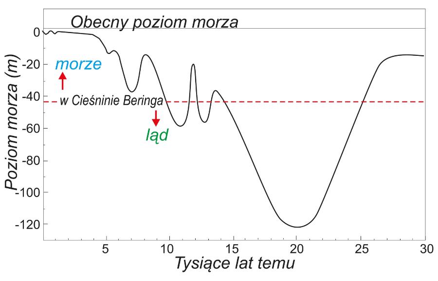 U schyłku zlodowacenia pomost lądowy Beringii kilkakrotnie pokrywało morze wskutek gwałtownych zmian klimatu (za D.M. Hopkins).