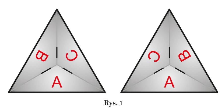 Rys. 1