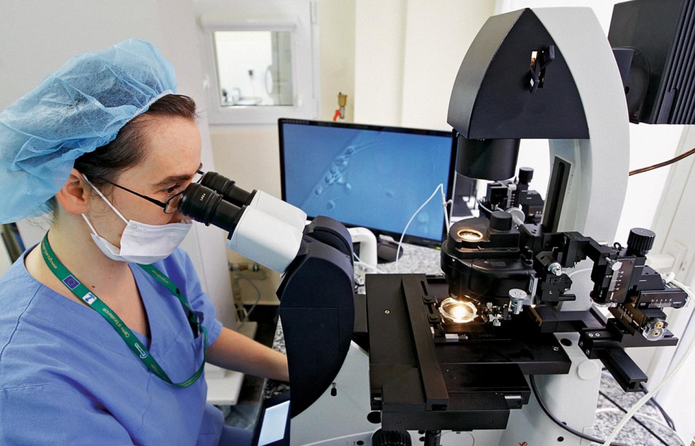 Po dwukrotnym odwirowaniu nasienie ogląda pod mikroskopem embriolog, który ocenia stan plemników