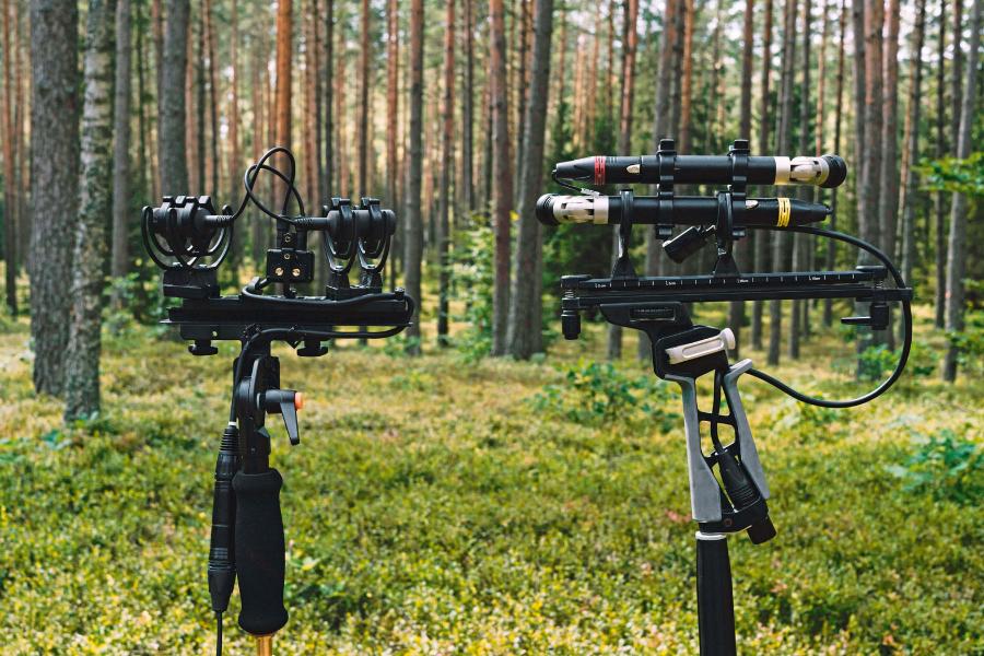 Dwa czułe mikrofony kierunkowe rejestrują odgłosy przyrody w środku lasu.
