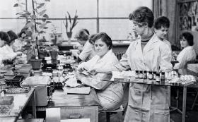 Profilaktyczne wydawanie leków przeciwgrypowych w Zakładach Radiowych im. Marcina Kasprzaka w Warszawie, styczeń 1969 r.