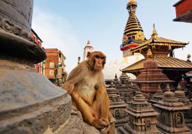 Stupy w Swayambhu, kompleksie religijnym nieopodal Katmandu.