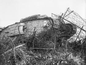 Trening przed bitwą pod Cambrai – czołg przejeżdżający przez zaporę z drutu kolczastego.