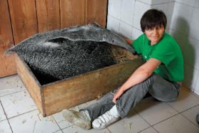 Pani Beata ze swoim podopiecznym  – mrówkojadem, który właśnie zjadł koktajl z wołowych serc