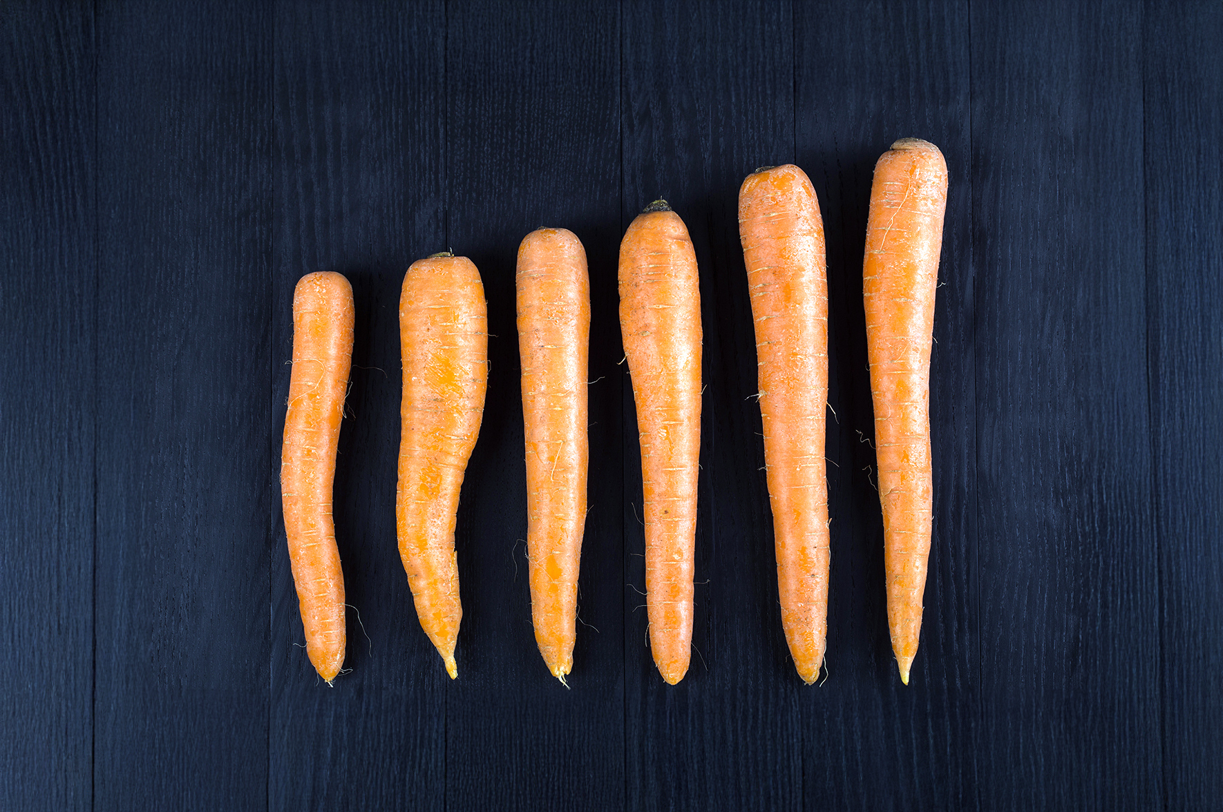 Duży penis jest atrakcyjny albo groźny. Hipoteza: ewolucja tego narządu przebiegała dwutorowo