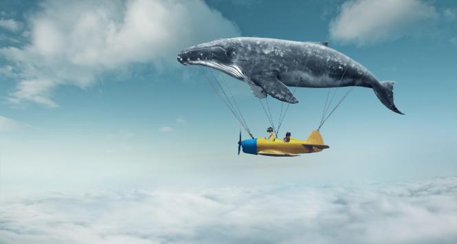 Pulsar - wyjątkowy portal naukowy.