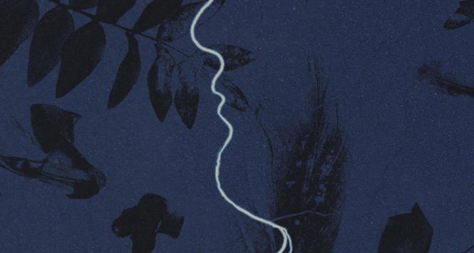 Epizod z życia malarza podróżnika