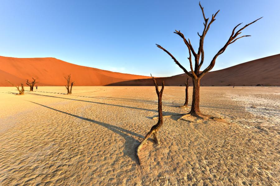 Pustynia Namib.