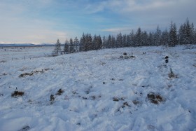 Miejsce gdzie stał barak rozpoznać nietrudno nawet po 50 latach, nawet pod kopnym śniegiem. Po środku prostokąta widoczne pozostałości paleniska (łagier No 3).