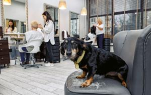 Lemon w salonie fryzjerskim na warszawskiej Ochocie