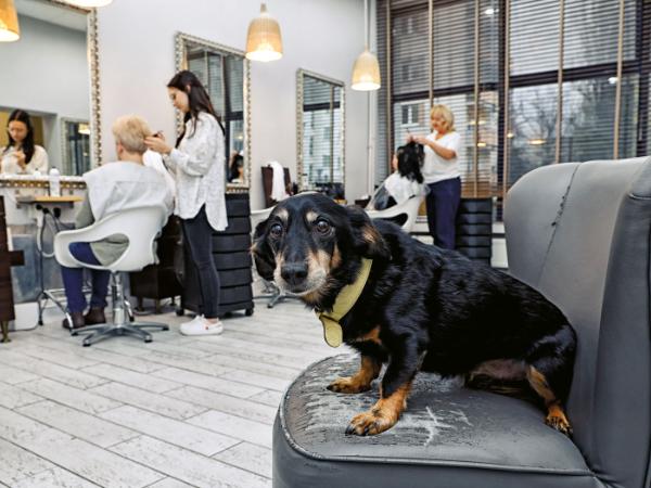 Lemon w salonie fryzjerskim na warszawskiej Ochocie