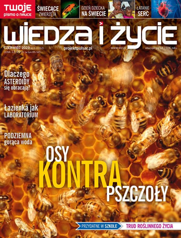 okładka wydania